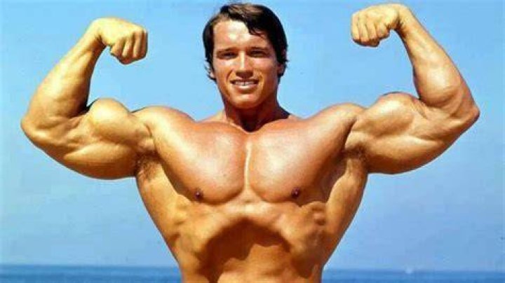 Arnold Schwarze... Biography