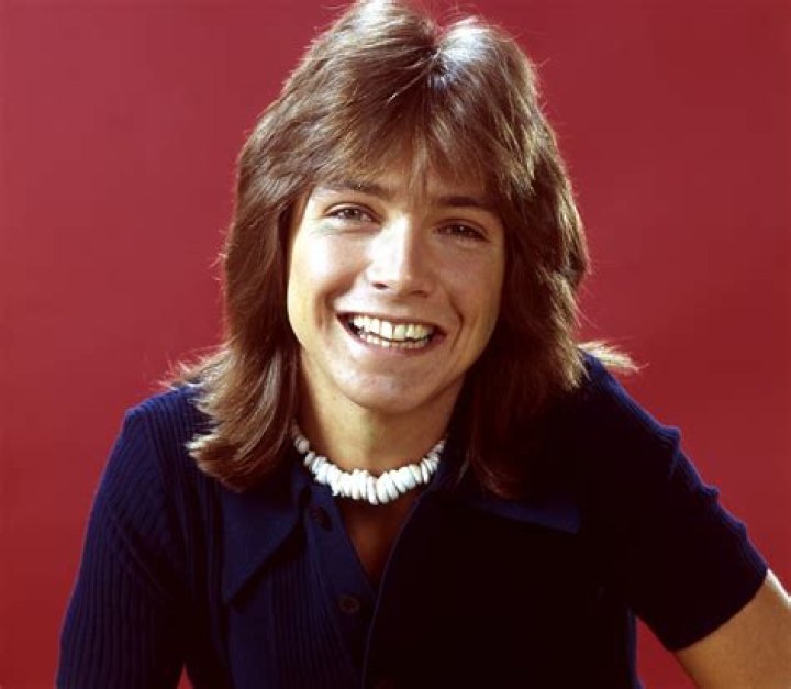 David Cassidy David Cassidy