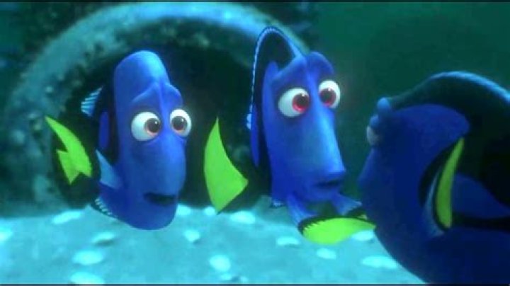 Does Dory find her mom and dad?