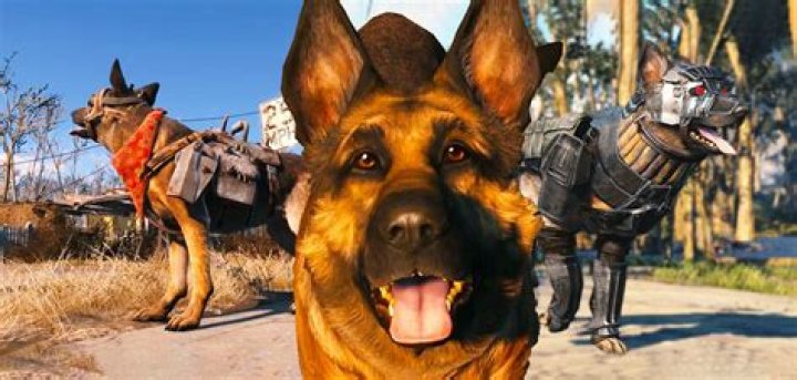 Dogmeat from Fallout 4