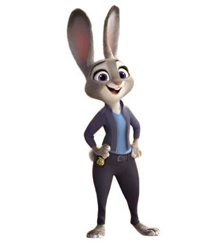 How old is Judy Hopps?