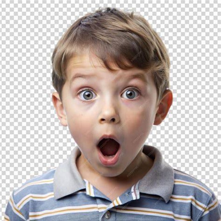 Is shock a boy or girl?