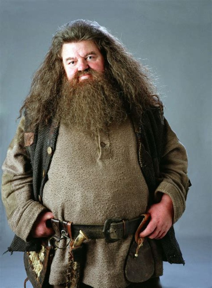 Robbie Coltrane as Hagrid in Harry Potter films 1