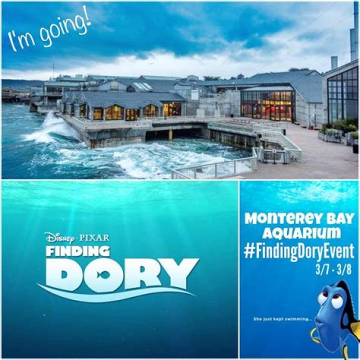 What aquarium was Finding Dory based on?